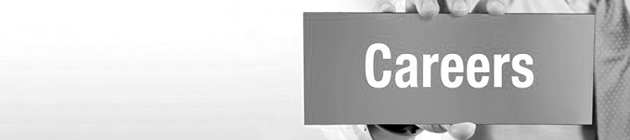 ACO Investment Careers